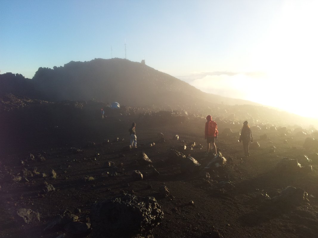 API et intégrations à La Réunion : connecter vos logiciels pour gagner en efficacité