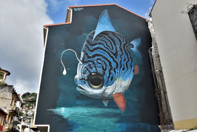 Application mobile en Martinique : quel type d'app pour votre PME antillaise ?