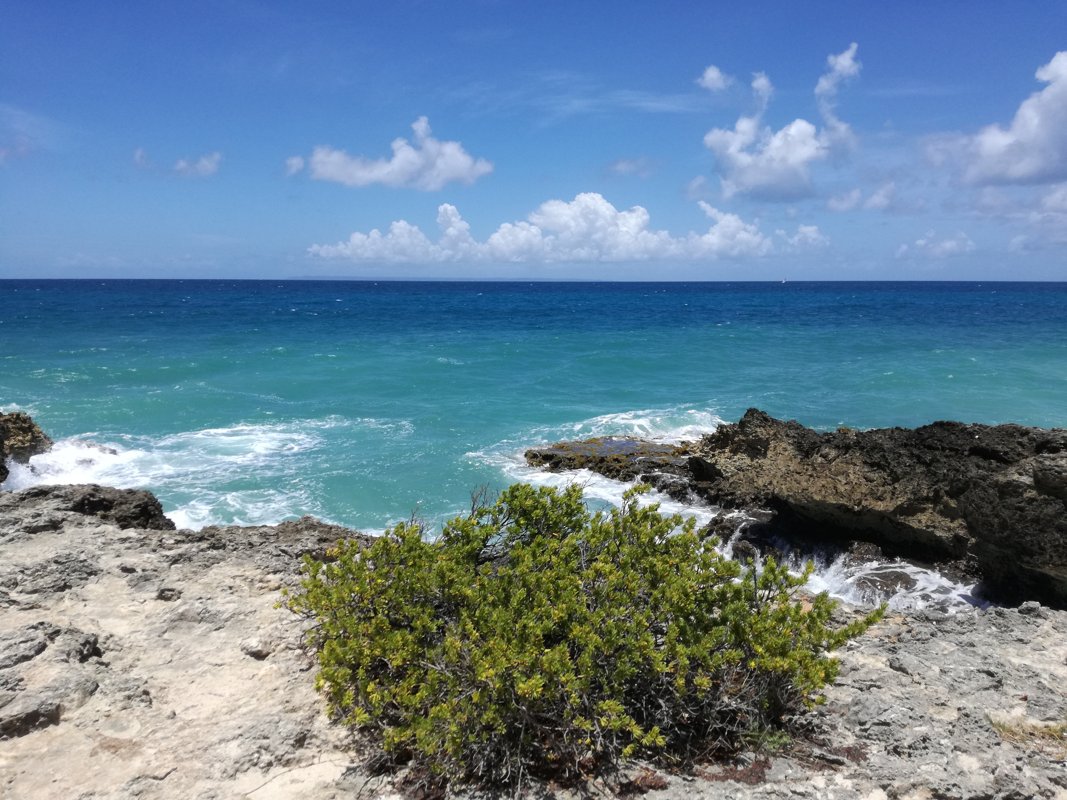 Application métier sur mesure en Guadeloupe : DIY ou prestataire ?