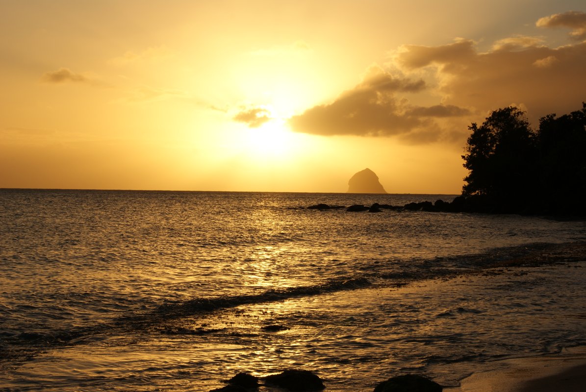 Chatbot IA pour TPE en Martinique : automatiser votre relation client sans perdre l'humain
