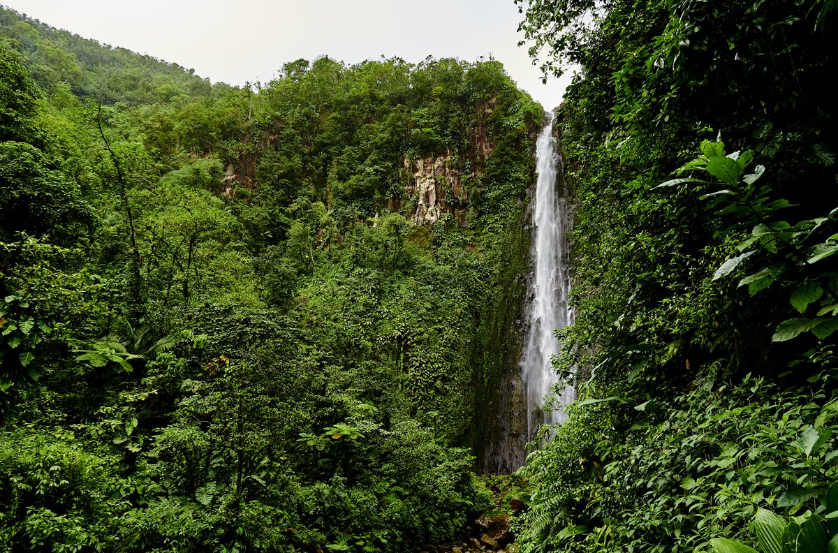 Choisir un ERP en Guadeloupe : le guide pour ne pas se tromper