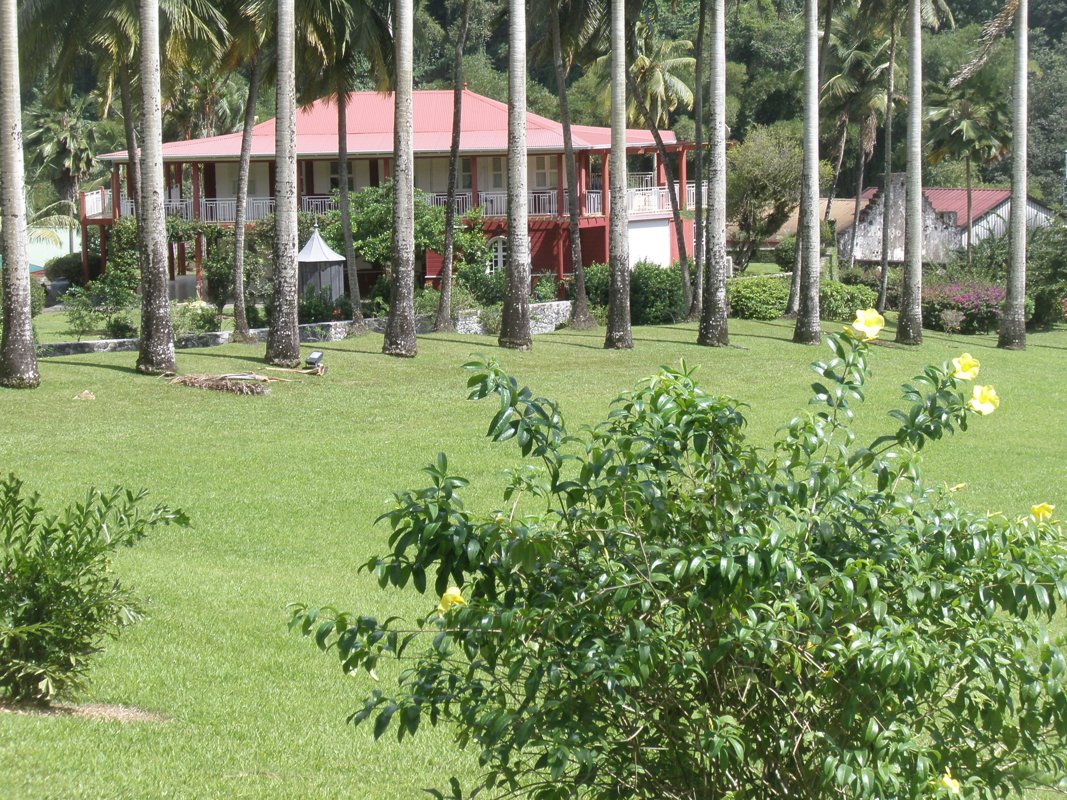 ERP pour PME en Martinique : quel outil de gestion choisir en contexte antillais ?