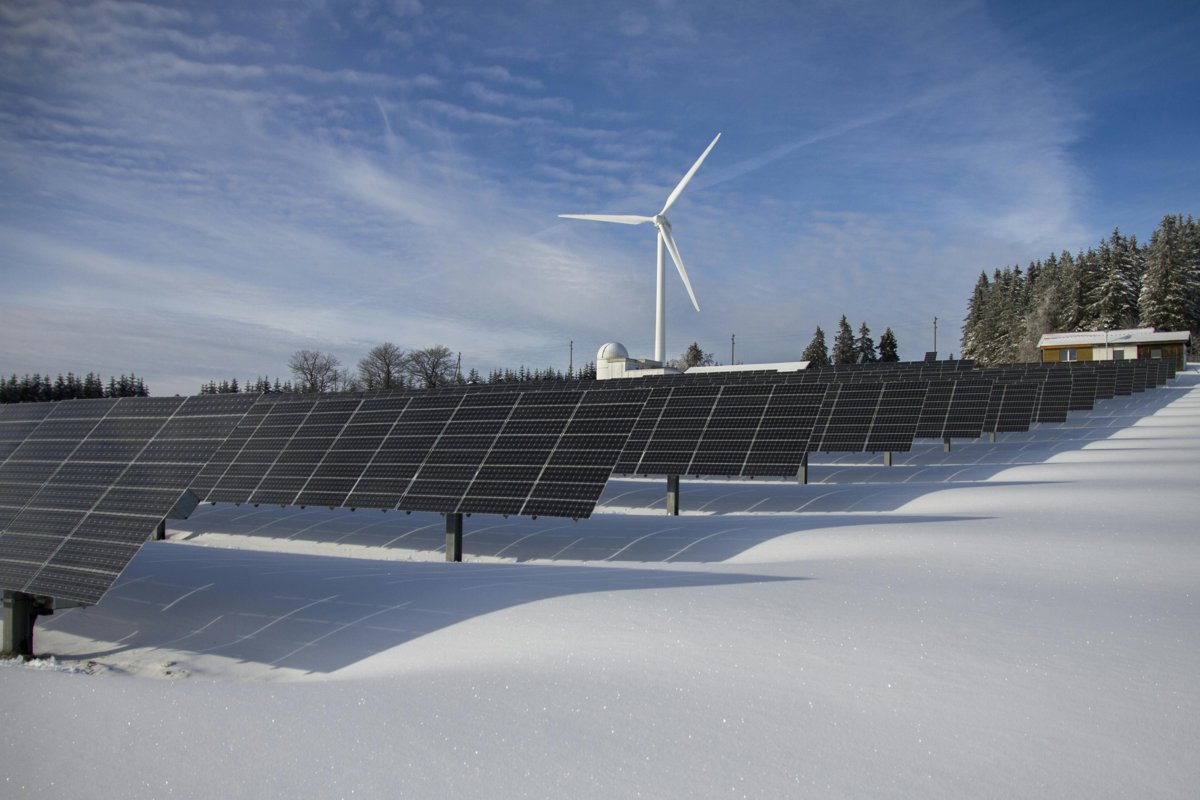 Green IT : vers une informatique durable pour votre PME