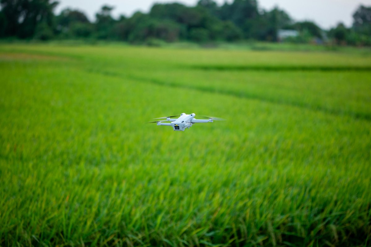 IA générative dans l'agriculture : transformer l'agroalimentaire en 2026