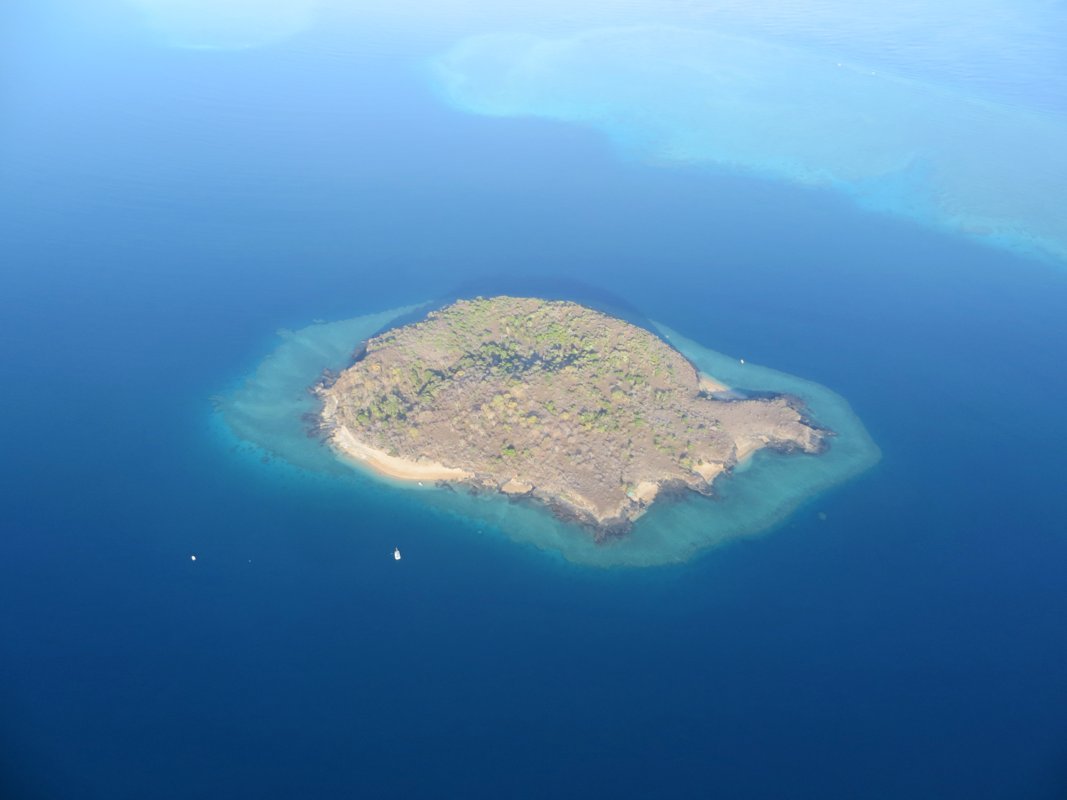 IA générative à Mayotte : accélérer le développement de votre PME en 2026