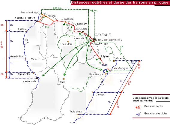 Référencement naturel en Guyane : être visible sur Google dans un marché de niche amazonien