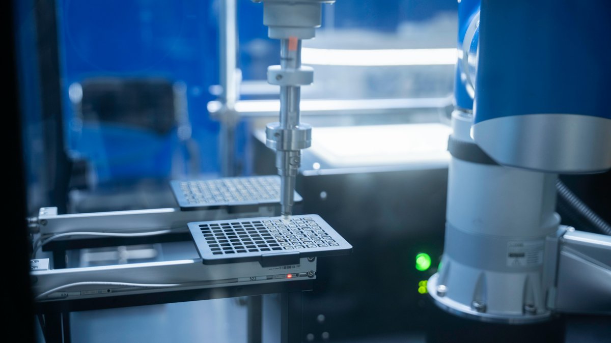 Transformation digitale des PME en France : bilan 2025 et perspectives 2026